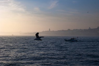 Sisli havada İstanbul manzarası. İstanbul manzaralı bir tekne ve martı. Türkiye 'ye seyahat.