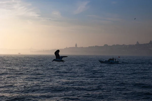 Isztambul Látképe Ködös Időben Hajó Sirály Isztambul Városképével Utazás Törökországba — Stock Fotó