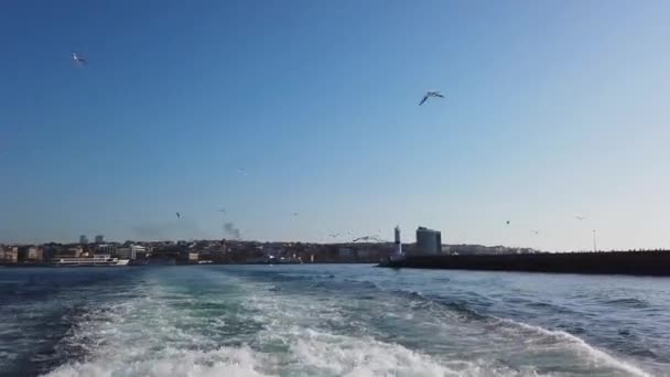 Kadikoy veiw from a ferry. Seagulls and ferry tour in the Kadikoy Bay — Stockvideo