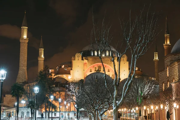 Ayasofya Hagia Sophia Nuit Hiver Monuments Istanbul Concentration Sélective Bruit — Photo