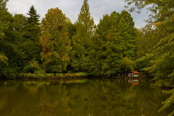 Fall Background Autumn View Forest Pond Lake Reflection Trees Pond — Photo