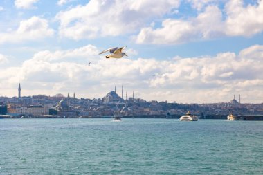 İstanbul manzaralı. Bulutlu gökyüzü ile İstanbul 'un martı ve şehir manzarası. Türkiye 'ye seyahat arkaplan fotoğrafı.