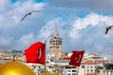 Seagulls and Galata Tower. Istanbul background photo. Travel to Istanbul concept.