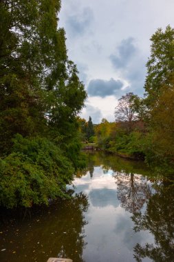 Sonbaharda parkta gölet ve arka planda bulutlu gökyüzü. Sonbahar sahnesi. İstanbul 'da Atatürk Ağacı.