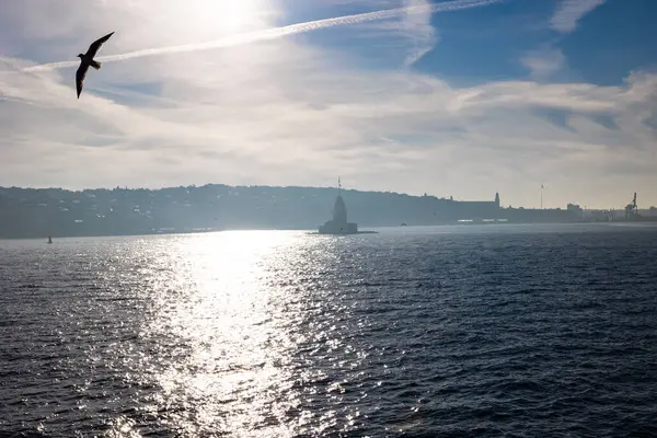 Vista Nebulosa Istambul Nascer Sol Ferry Torre Donzela Uma Gaivota — Fotografia de Stock