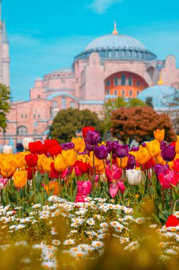 Ayasofya ve laleli Ayasofya. İstanbul 'daki dikey arka plan fotoğrafına git. Seçici odak.
