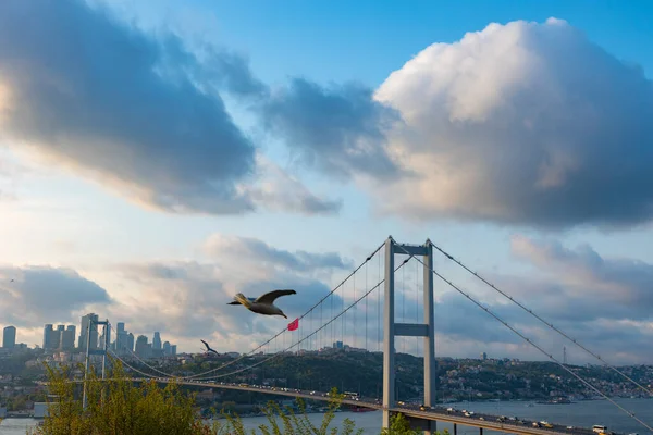 Θέα Κωνσταντινούπολη Γέφυρα Του Βοσπόρου Και Cityscape Της Κωνσταντινούπολης Συννεφιασμένο — Φωτογραφία Αρχείου