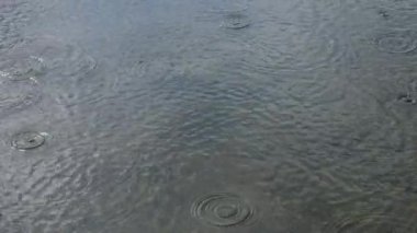 Yavaş çekimde göle damla daireler ve küçük dalgalarla yağmur yağıyor. Yağmurlu ya da karamsar ya da hava veya hava durumu veya doğa konsepti 4K yavaş çekim videosu.