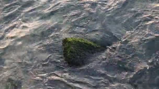 Wavy Sea Top View Moss Covered Rock Wavy Sea Water — Stockvideo