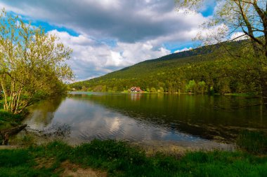 Göl ve ormanın bulutlu gökyüzü manzarası. Bolu Golcuk Doğa Parkı. Turistik yerler arka plan fotoğrafı.