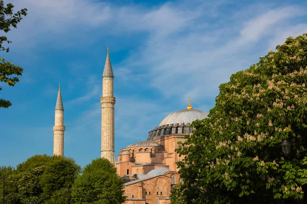 Τζαμί Αγίας Σοφίας Αγιασόφια Στην Κωνσταντινούπολη Την Ημέρα Ταξίδι Στην — Φωτογραφία Αρχείου