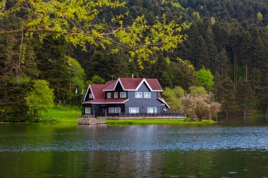 Bolu Golcuk Doğa Parkı 'nda ünlü bir ev. Türkiye 'deki arka plan fotoğrafına git. Bolu Türkiye - 5.15.2022