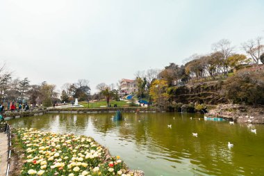 Emirgan Parkı ve Sari Kosk 'la gölet. Emirgan Korusu Türkçe. İstanbul 'daki arka plan fotoğrafına git. İstanbul Türkiye - 4.16.2022