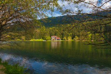 Bolu Golcuk Gölü ve Doğa Parkı. Türkiye 'deki arka plan fotoğrafına git. Türkiye 'nin doğal güzellikleri ve simgeleri.