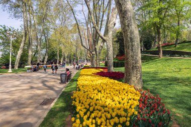 İstanbul 'da lale festivali. Gulhane Parki ve turistler. İstanbul Türkiye - 4.25.2022