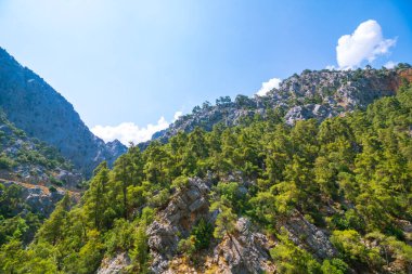Yazın ağaçlarla kaplı tepeler ya da uçurumlar. Antalya 'daki Goynuk Kanyonu.