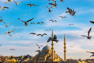 İstanbul manzaralı. Gün batımında İstanbul 'da martılar ve Yeni Cami veya Yeni Cami. Türkiye 'ye seyahat arkaplan fotoğrafı.