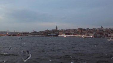 Istanbul background video. Seagulls and Galata Tower with Beyoglu and Karakoy district from a ferry at cloudy sky. Istanbul Turkey - 10.15.2021
