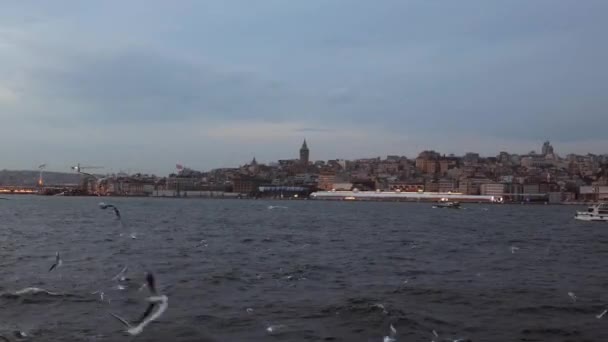 Istanbul Background Video Seagulls Galata Tower Beyoglu Karakoy District Ferry — Video