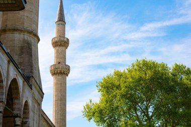 Süleyman Camii 'nin minaresi ve ağacı. İstanbul 'daki camilerin arka plan fotoğrafı. Osmanlı mimarisi.