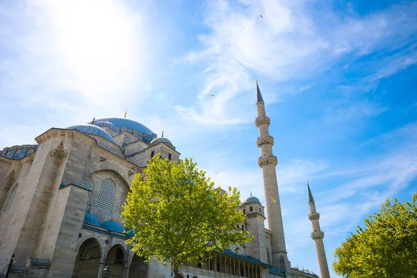 İstanbul 'daki camiler. Süleyman Camii ve gündüzleri ağaçlar. İstanbul 'a seyahat.
