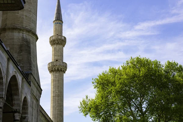 Minaret Suleymaniye Moské Och Träd Moskéer Istanbul Bakgrund Foto Ottomansk — Stockfoto