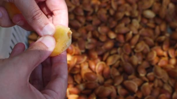 Produktionsvideo Für Getrocknete Aprikosen Entfernen Der Aprikosenkerne Getrocknete Früchte Der — Stockvideo