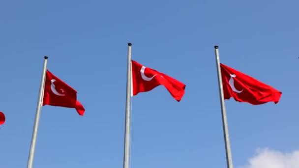 Bandeiras Turcas Acenando Turco Feriados Nacionais Vídeo República Turquia Imagens — Vídeo de Stock