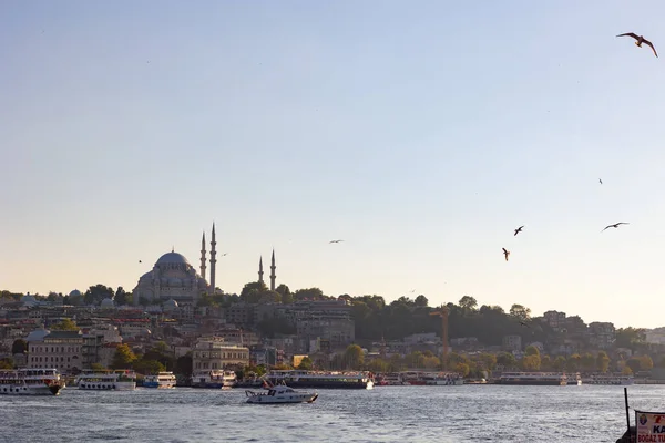 Istanbul Från Galatabron Suleymaniye Moskén Och Gyllene Hornet Istanbul Turkiet — Stockfoto