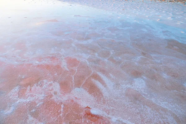 Рожево Біла Соляна Поверхня Озера Водорості Цвітуть Природа Або Навколишнє — стокове фото