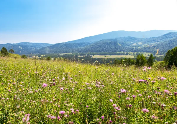 Field mountain — Stock Photo, Image