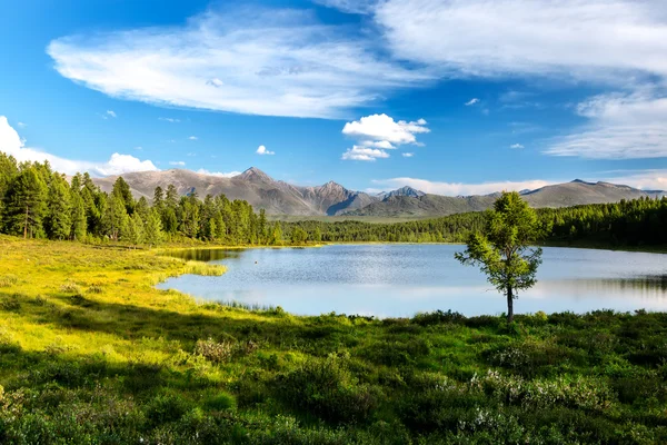 Lago limpido in montagna — Foto Stock