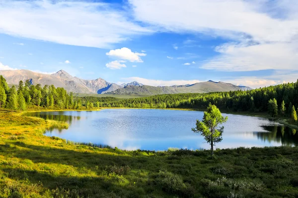 Чистое озеро в горах — стоковое фото