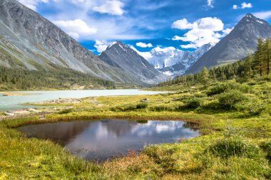Altay