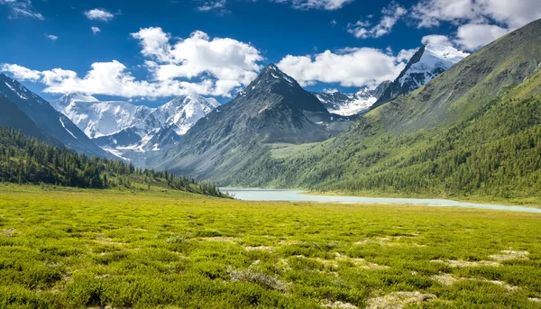 Altay Altai — Stockfoto