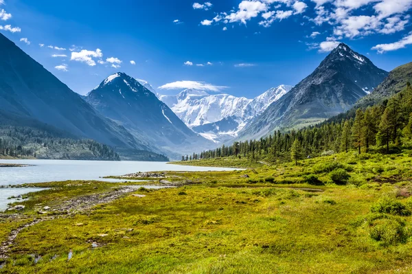 Altay Altai — Stock Photo, Image