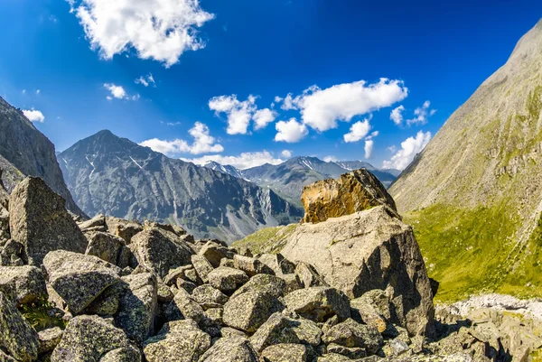 Altay Altai — Foto Stock