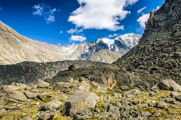 Altay Altay — Stok fotoğraf