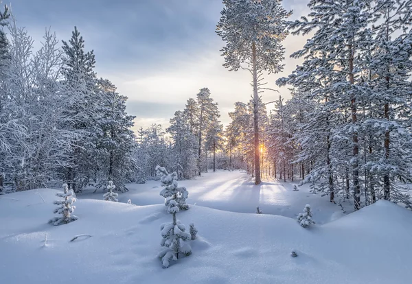 Paesaggio invernale — Foto Stock