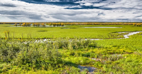 Solig vårdag — Stockfoto