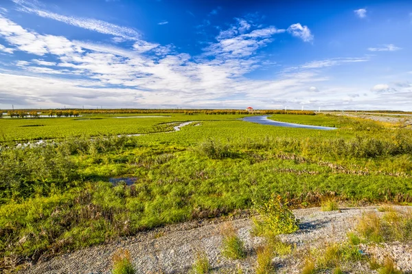 Solig vårdag — Stockfoto