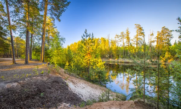 Solig vårdag — Stockfoto