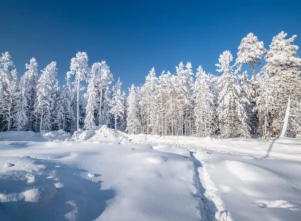 Wintersneeuw — Stockfoto