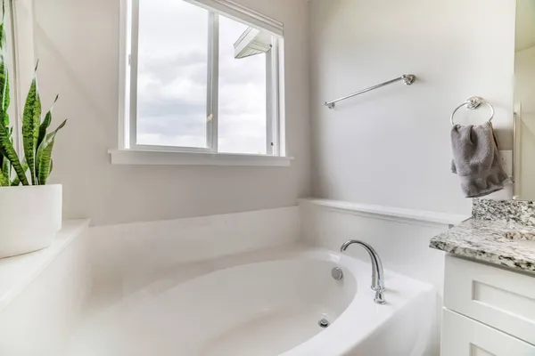 Interior del baño blanco con plantas de serpiente en maceta y ventana corredera — Foto de Stock