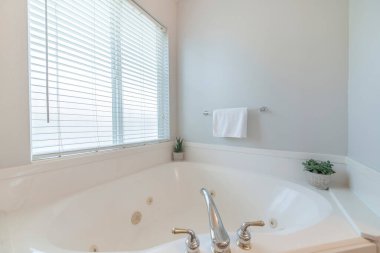 Küvetin köşesinde saksı bitkileri ve geniş bir musluk var..