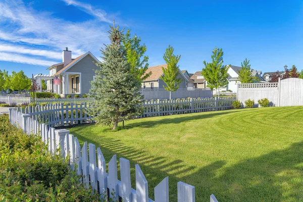 White picket fence of a yard with green lawn and pine tree at Daybreak, Utah
