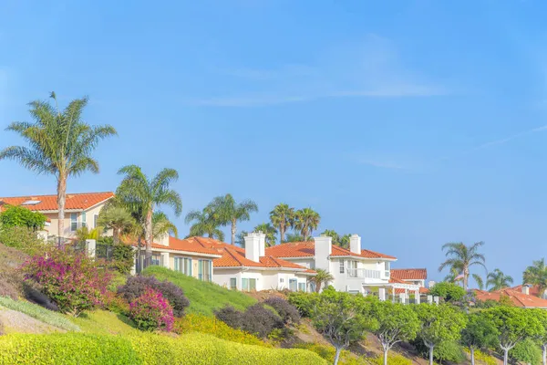 Domy mieszkalne z dachami z cegieł pomarańczowych i palmami w Południowej Kalifornii — Zdjęcie stockowe