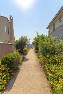 San Diego, Kaliforniya 'da çalılıkların ve çalıların arasında sarı çiçekli toprak patika