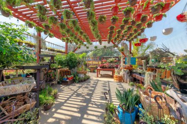 Çatı pergola ve kancalı bir tencereye sulandırıcı.