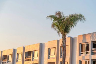 Oceanside, California 'daki modern kiralık bina